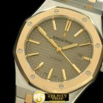 AP0189C – Royal Oak 15400 SS/YG Grey Swiss 2824