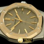 AP0189C – Royal Oak 15400 SS/YG Grey Swiss 2824