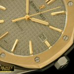 AP0189C – Royal Oak 15400 SS/YG Grey Swiss 2824