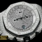 AP0243 – Royal Oak Chrono SS/LE Platinum Bling A-7750