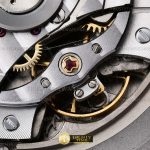 AP0766C – AP ROO Chronograph SS/RU Grey/Stk APF A3126 Mod
