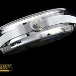 IWC0317C – Portugese 5007 SS/ME YLF White SS Num A-52010