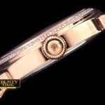 PP0160A – Grand Classics Auto RG/LE White Asian 2824